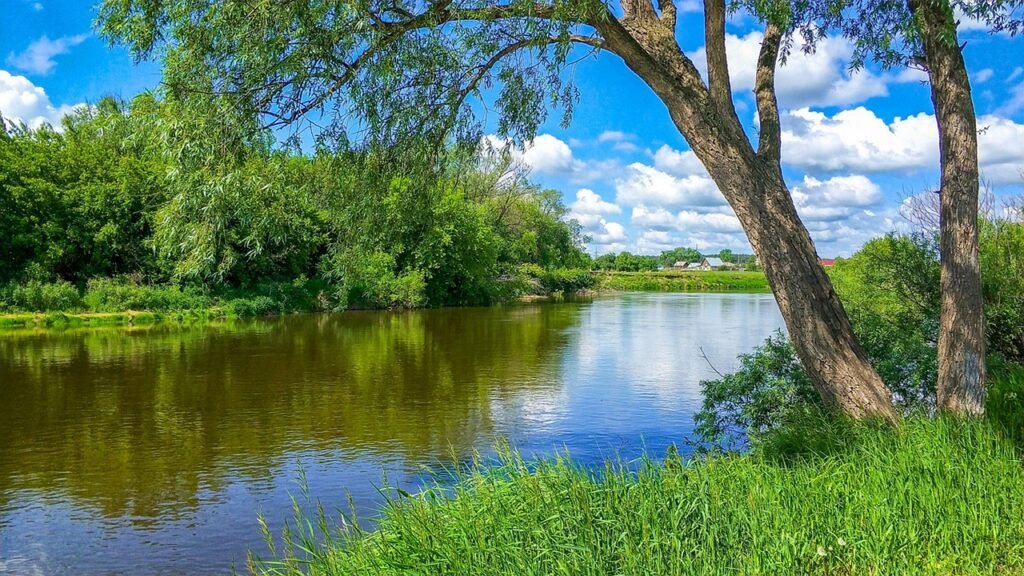 Exploring the Tranquility of Willow Beach, Arizona