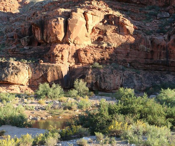 Exploring the Virgin River Canyon Recreation Area in Arizona