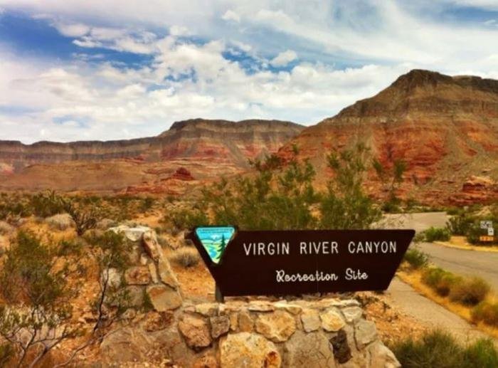 Exploring the Virgin River Canyon Recreation Area in Arizona